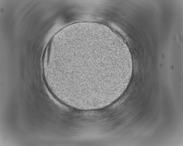 X0000071781479200607282226