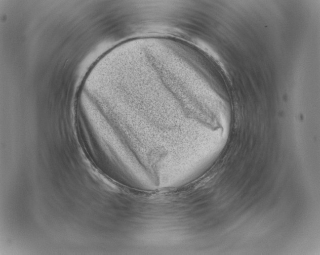 X0000071781480200607282226