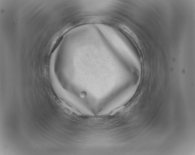 X0000071781481200607282226