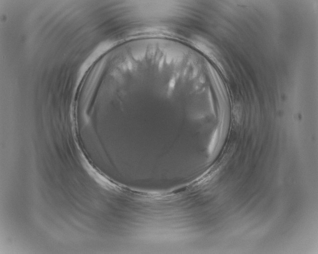 X0000071781482200607282226