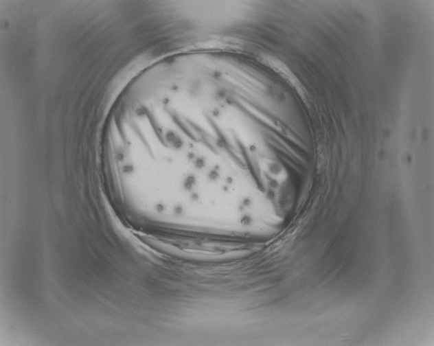 X0000071781483200607282225