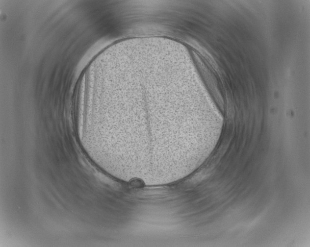 X0000071781486200607282225