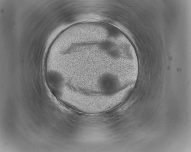 X0000071781488200607282225