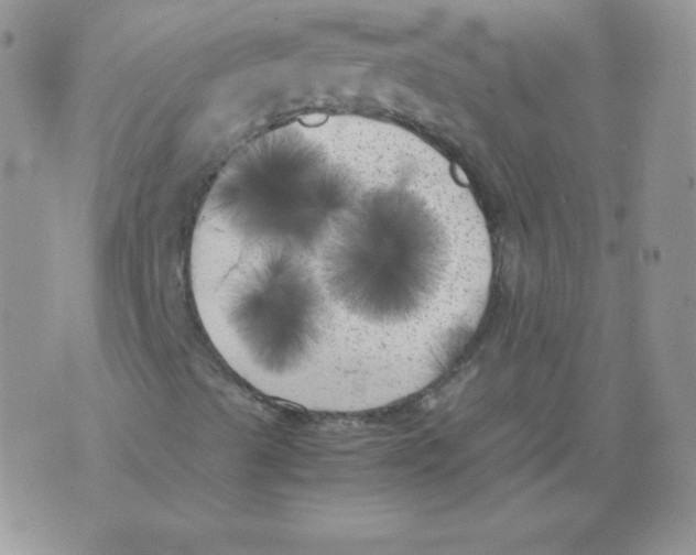 X0000071781489200607282225