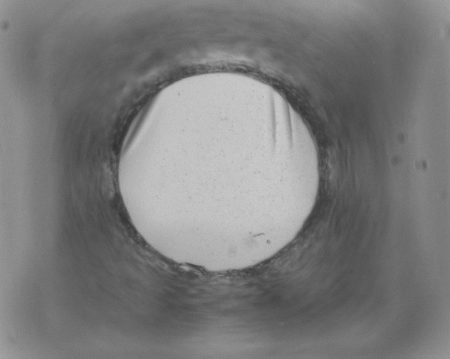 X0000071781493200607282225