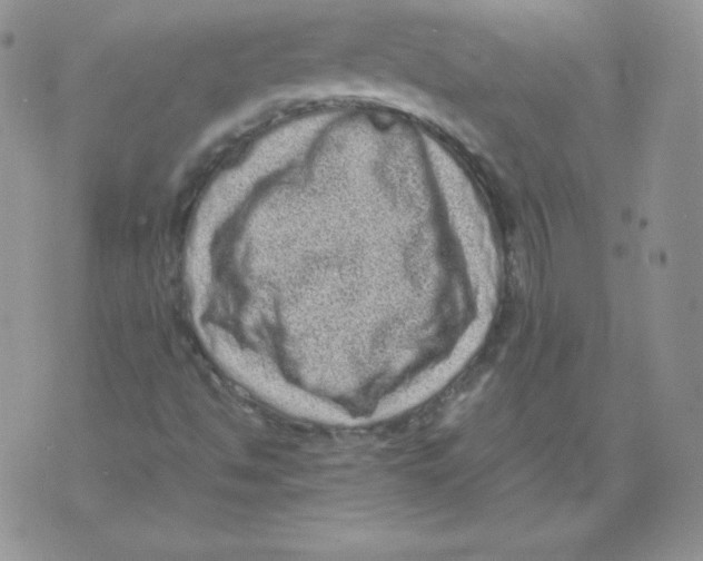 X0000071781494200607282225