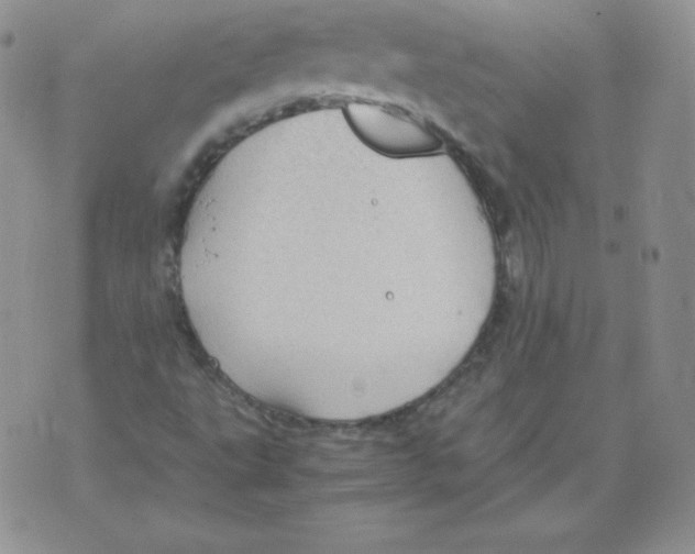 X0000071781495200607282225