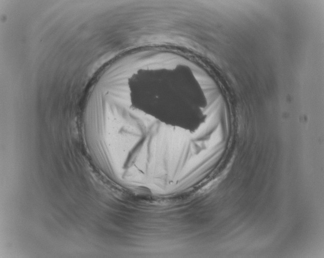 X0000071781497200607282225