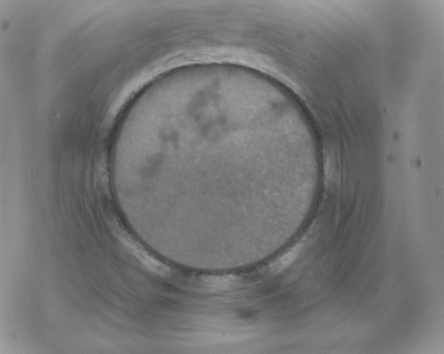 X0000071781498200607282225