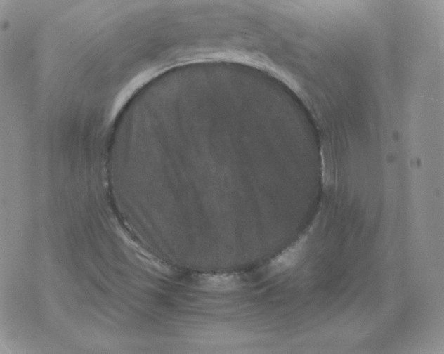 X0000071781501200607282225