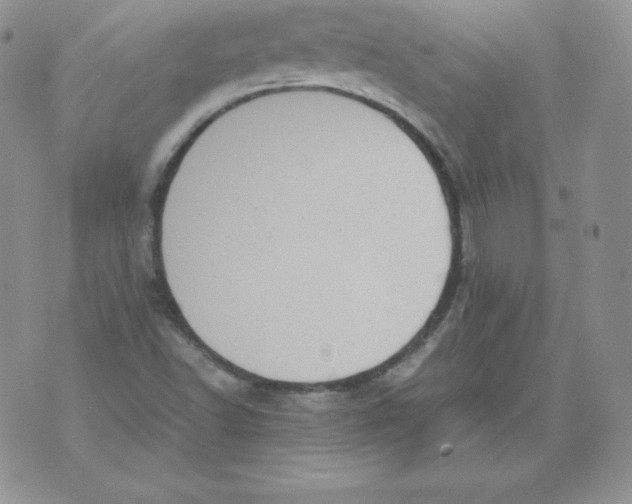 X0000071781502200607282225