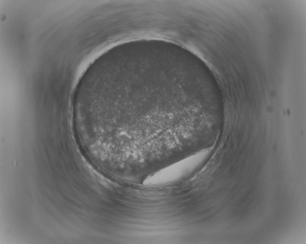 X0000071781508200607282225