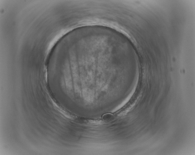 X0000071781509200607282225