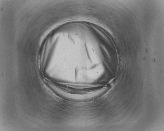 X0000071781510200607282225