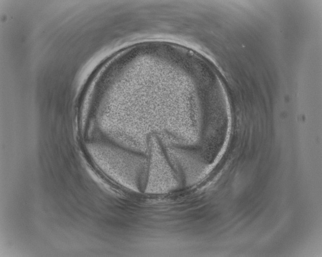 X0000071781511200607282225