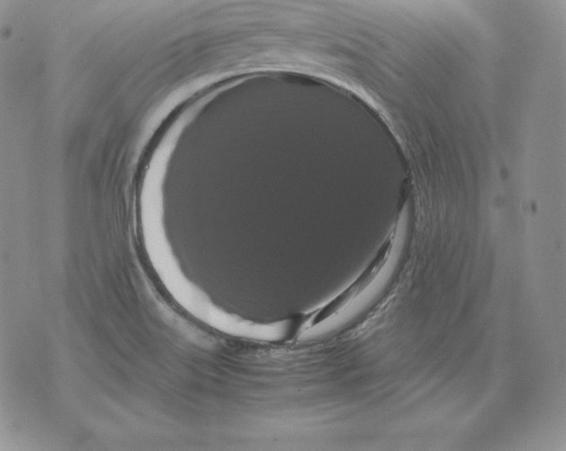 X0000071781515200607282225