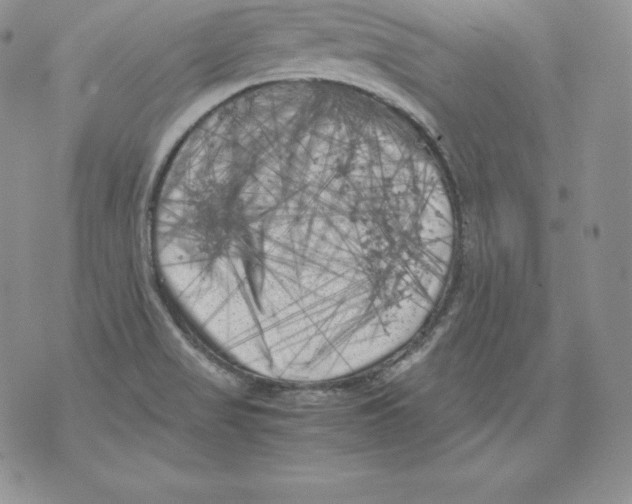 X0000071781517200607282225