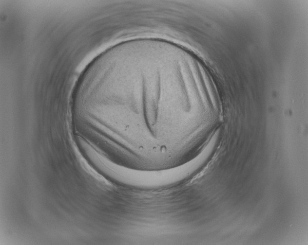 X0000071781518200607282225