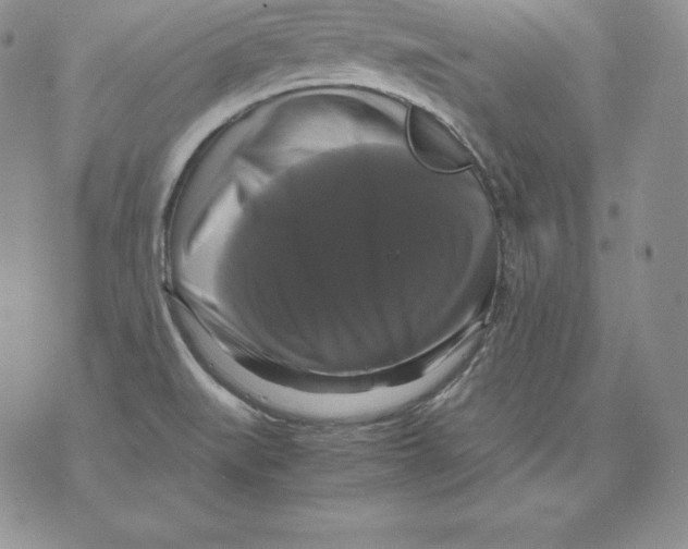 X0000071781519200607282225