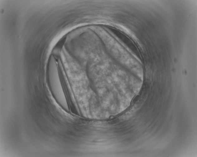 X0000071781520200607282225