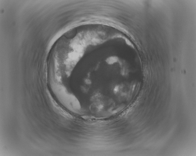 X0000071781522200607282225