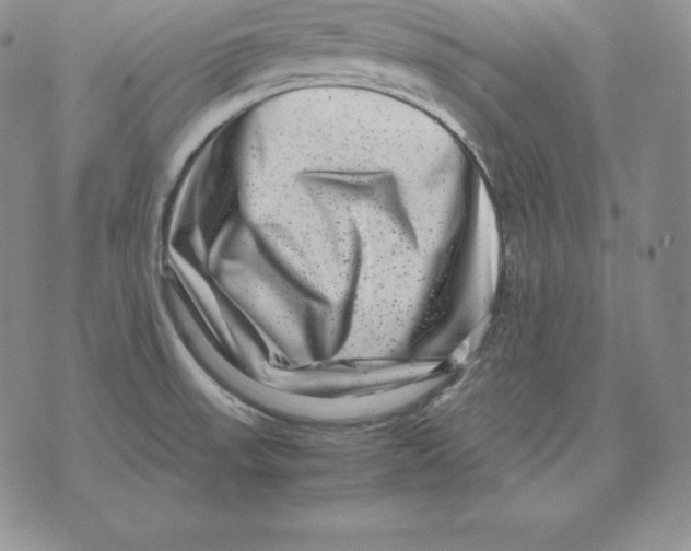 X0000071781523200607282225