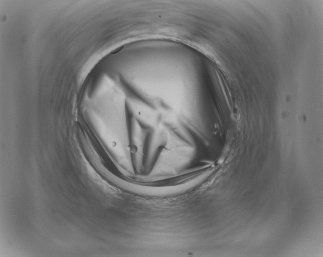 X0000071781524200607282225