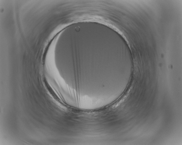 X0000071781525200607282225