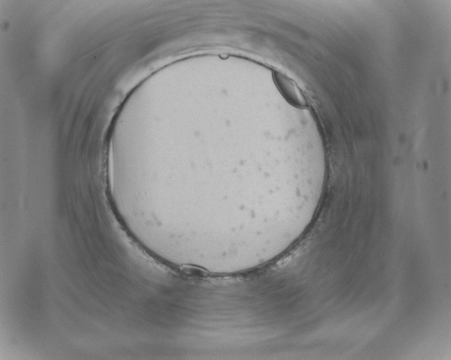 X0000071781526200607282225