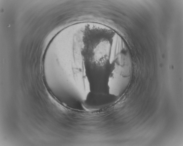 X0000071781527200607282225