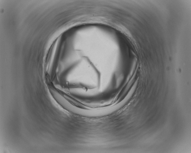 X0000071781528200607282225