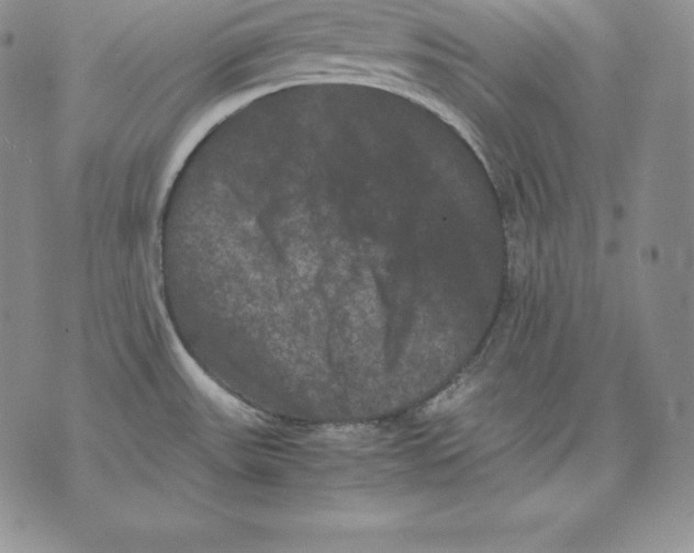 X0000071781531200607282225