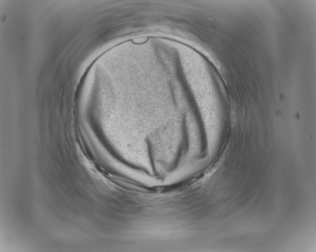 X0000071781534200607282225