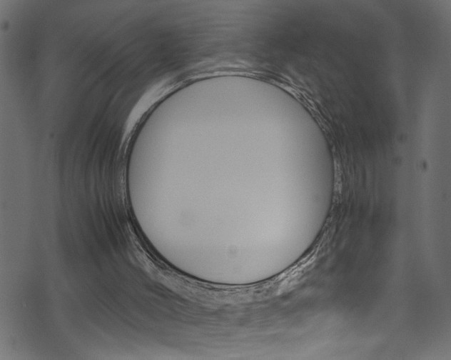X0000071790004200606300953