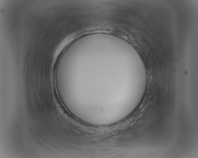 X0000071790006200606300953