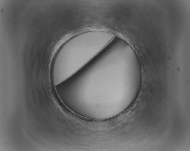 X0000071790008200606300953