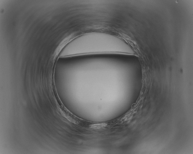X0000071790051200606300952