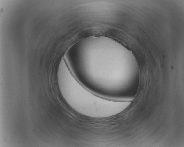 X0000071790137200606300951