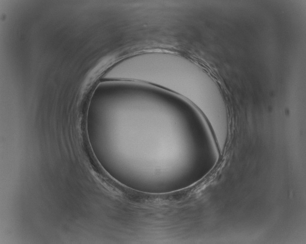 X0000071790197200606300950