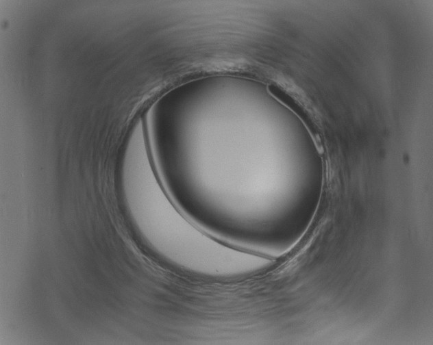 X0000071790201200606300950