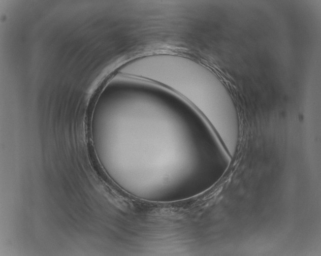 X0000071790244200606300949