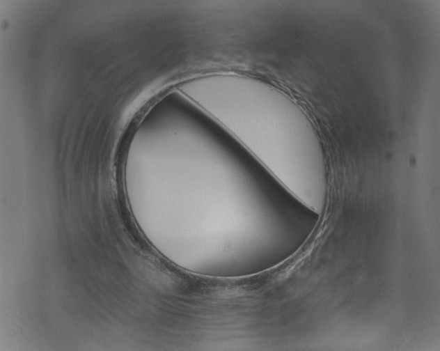 X0000071790246200606300949