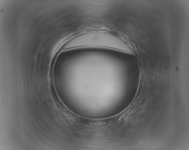 X0000071790340200606300947