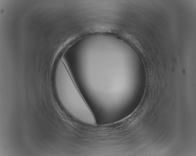 X0000071790395200606300947