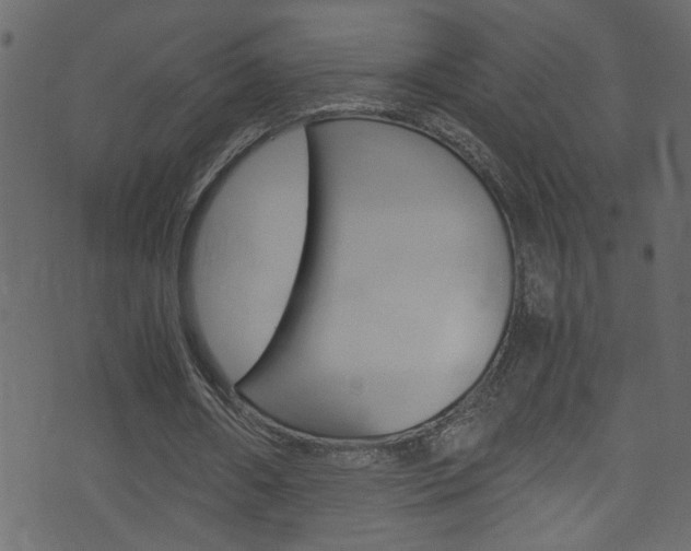 X0000071790482200606300946