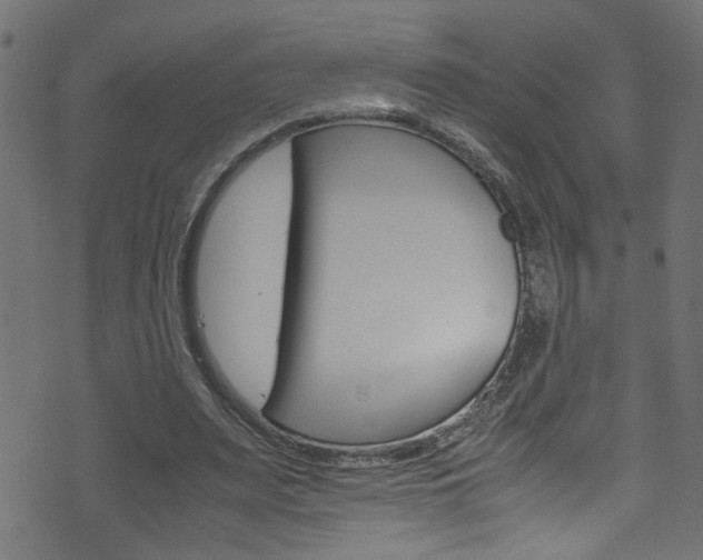 X0000071790487200606300945