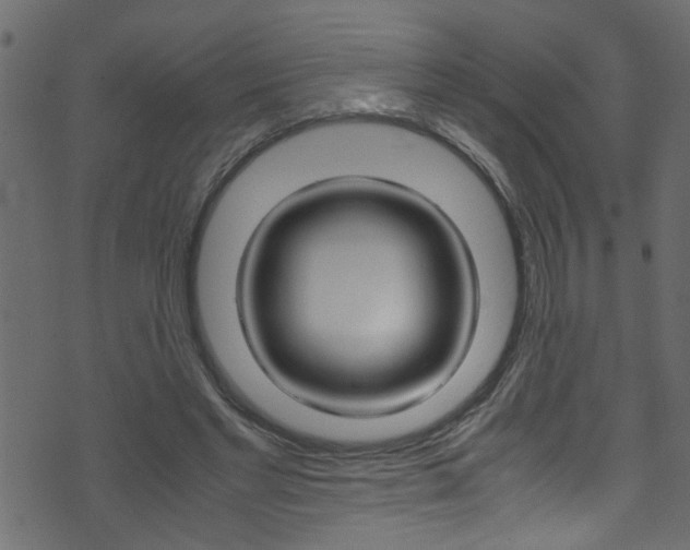 X0000071790493200606300945