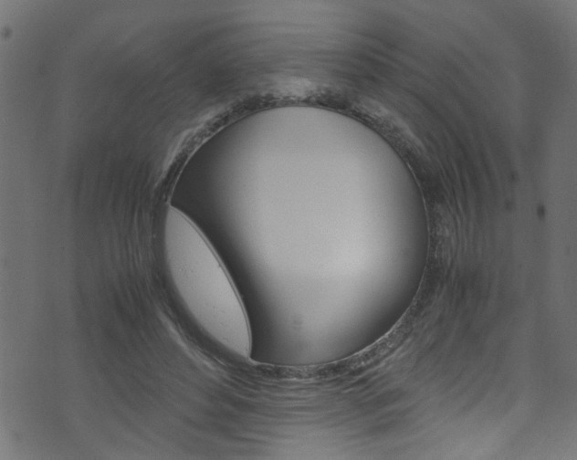 X0000071790496200606300945