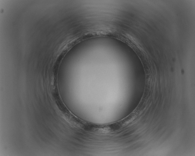 X0000071790548200606300944