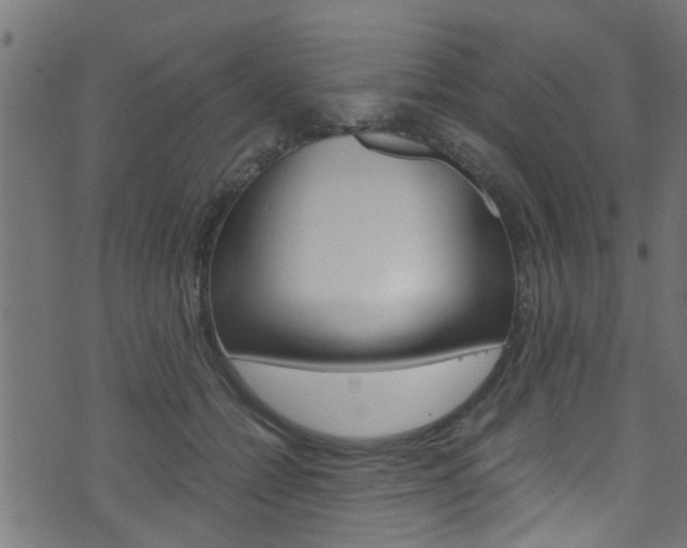 X0000071790558200606300945